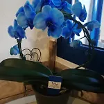 Parfumu Di Celu 3*
