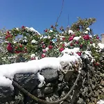 Parfumu Di Celu Santa-Lucia-di-Mercurio