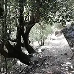 Parfumu Di Celu 3*