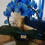 Guest house Parfumu Di Celu