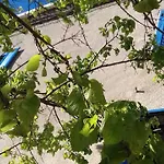 Parfumu Di Celu