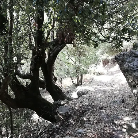 Parfumu Di Celu 3*