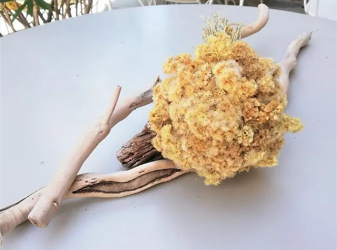 בית הארחה Parfumu Di Celu Santa-Lucia-di-Mercurio