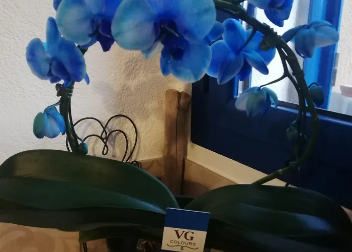 בית הארחה Parfumu Di Celu