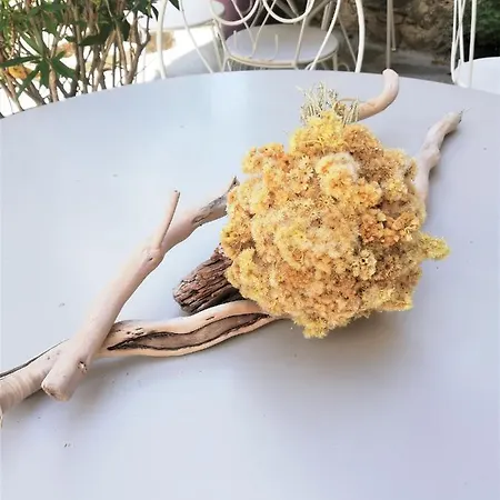 Affittacamere Parfumu Di Celu Santa-Lucia-di-Mercurio