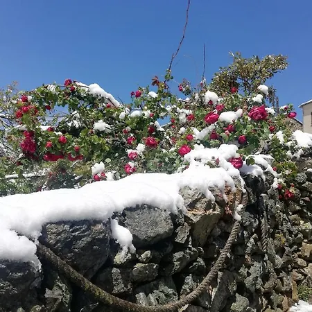 Parfumu Di Celu Santa-Lucia-di-Mercurio