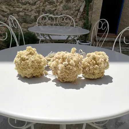 Parfumu Di Celu Gasthuis Santa-Lucia-di-Mercurio