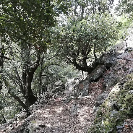 Parfumu Di Celu Гостевой дом Santa-Lucia-di-Mercurio