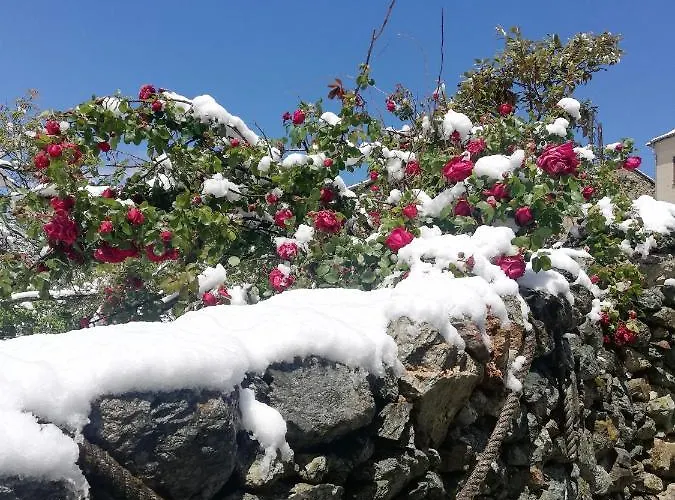 Parfumu Di Celu Santa-Lucia-di-Mercurio