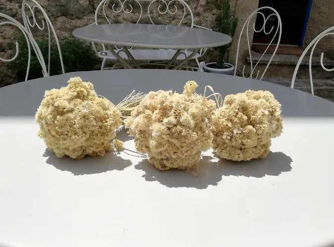 Parfumu Di Celu Konukevi Santa-Lucia-di-Mercurio