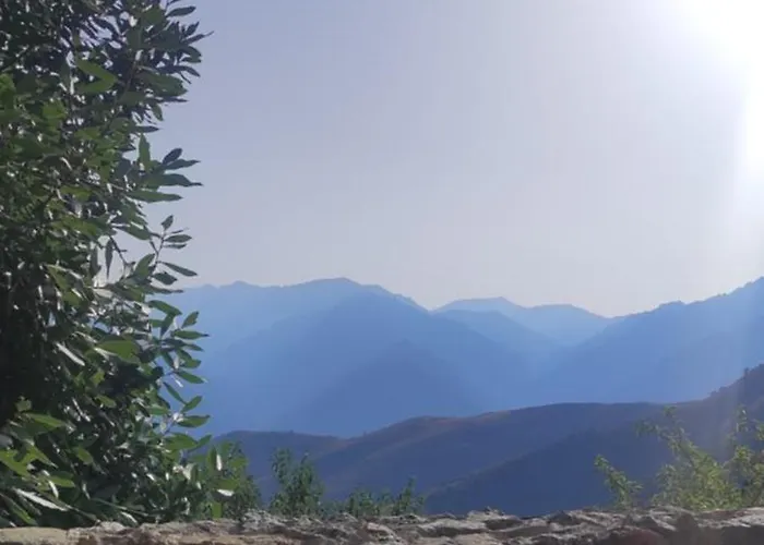 Konukevi Parfumu Di Celu