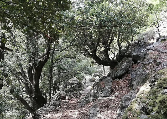 Parfumu Di Celu Konukevi Santa-Lucia-di-Mercurio